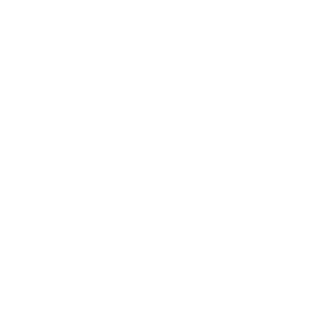 phone-icon