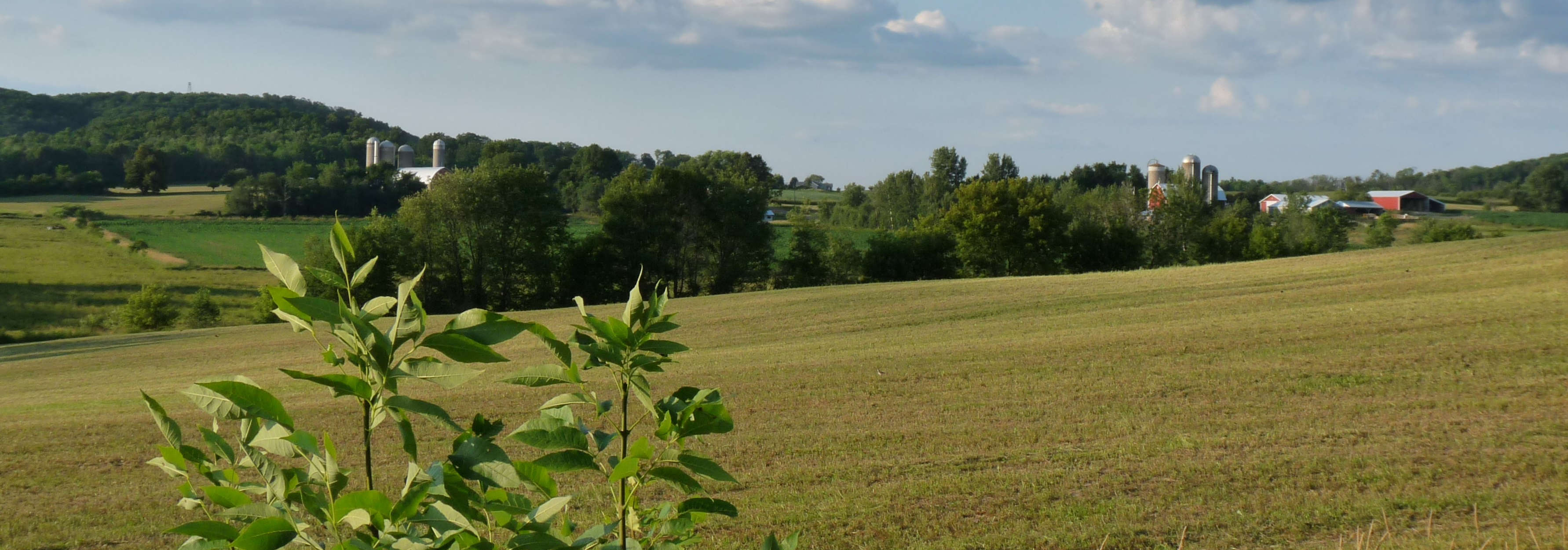 Farmland photo of Hendren, Clark County, Wisconsin
